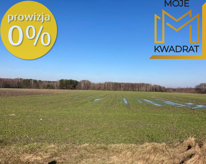 Działka Sprzedaż Apolinów