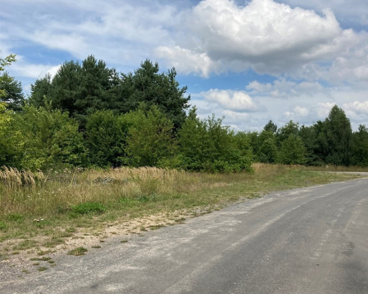 Działka Sprzedaż Bełchatów