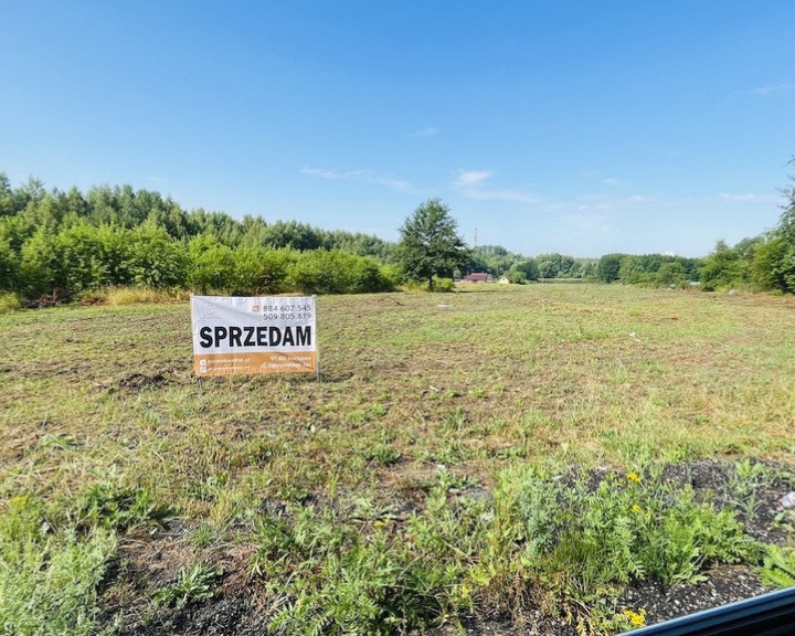 Działka Sprzedaż Bełchatów