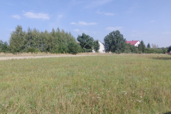 Działka Sprzedaż Stróża