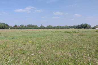 Działka Sprzedaż Stróża