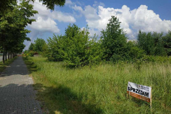 Działka Sprzedaż Łuszczanowice